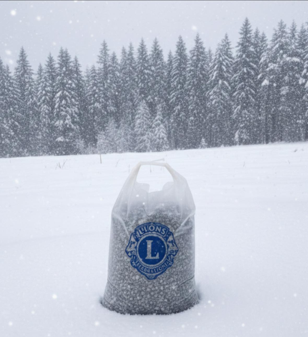 Artikkelbilde til artikkelen LC Drøbak selger strøsingel